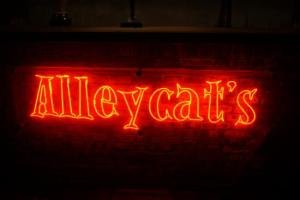 alleycats-huashan-arts